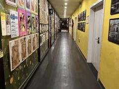 -杨梅红艺术教育(凤城教学中心)