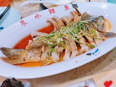 泉水鲤鱼-燕喜堂·中华老字号(大明湖店)