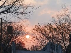 -梁鸿国家湿地公园