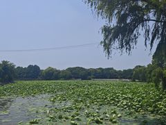-石湖景区