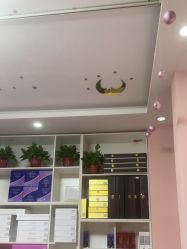 -香薇妮丝·定制减肥·身材管理