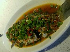 -老号尤兔头(西川店)