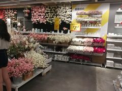 -宜家家居(哈尔滨商场店)