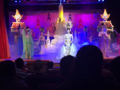 -金东尼人妖秀