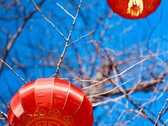 -八大处公园