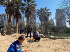 -苏州河梦清园环保主题公园