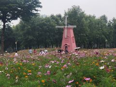 -顺峰山公园