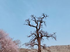 -北京明城墙遗址公园