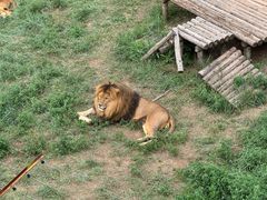 -青藏高原野生动物园