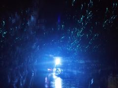 -怀托摩萤火虫洞