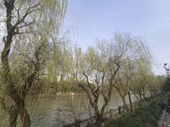 -运河游船(武林门码头)