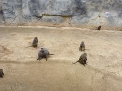 -杭州野生动物世界