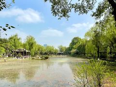 -桂湖森林公园