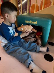 -MELAND CLUB亲子乐园·派对·餐厅(北京芳圆里ID MALL店)