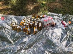 -蒲河岛湿地公园