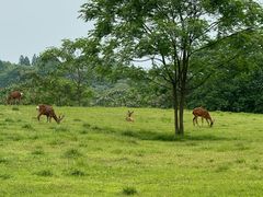 -良渚古城遗址公园