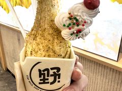 -野人先生现做冰淇淋(西安赛格店)