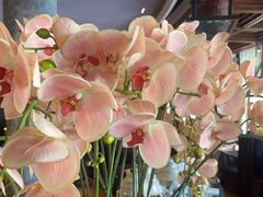 -八府香鸭·啫啫煲(华山路店)