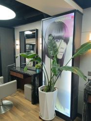 -Z.X HAIR SALON张新美业