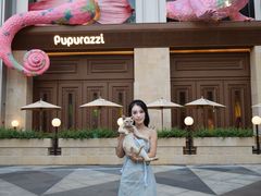 -帕帕拉兹宠物(亚洲旗舰店)