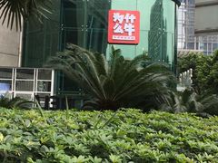 -为什么牛潮汕牛肉火锅(中信广场店)