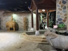 -泉城欧乐堡戏水湾艺术养生温泉