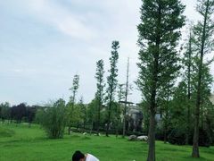-两河城市森林公园