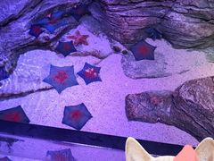 -沈阳海洋探索中心