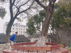 -半步颠小酒馆(繁花中心)