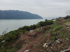 -渌洋湖湿地公园