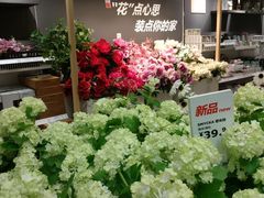 -长城汽车哈弗（重庆顺凯4S店）-地上停车场