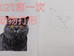 -八哥美术·成人美术画室(总校区)