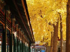 -中山公园(石岐街道)
