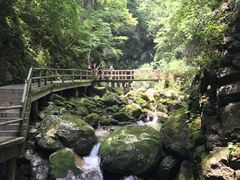 -牛背梁国家森林公园