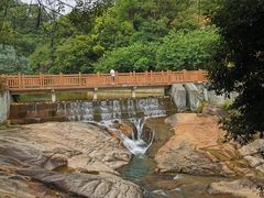 -广州白江湖森林公园