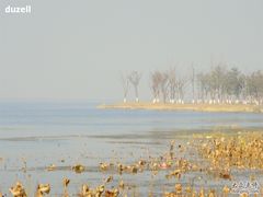 阳澄湖-阳澄湖费尔蒙酒店