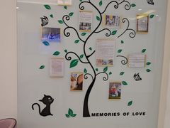 -北京观赏动物医院·24小时大型综合·猫专科·异宠专科