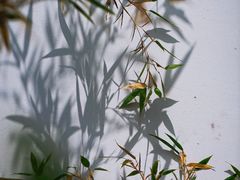 -求雨山文化公园