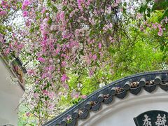 -深圳国际园林花卉博览园