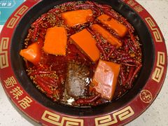 -蜀辣居鲜货老火锅(万象城店)