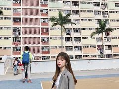 -彩虹村