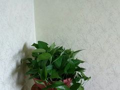 -宅里香.自然餐厅(湘大店)