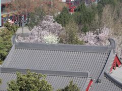 -大慈恩寺(大雁塔)