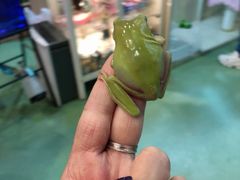 -藦茜花园宠物主题亲子互动体验馆(国顺东路店)