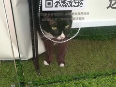 -中海环宇荟