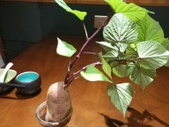 -十二舍·湯物素煮(江泰潤政店)