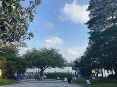 -海珠湖公园