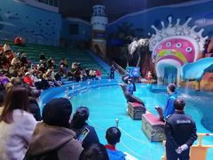 -烟台海昌鲸鲨海洋公园