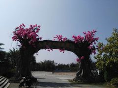 -天适樱花悠乐园