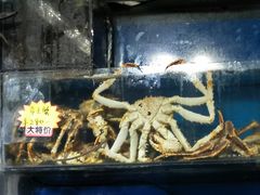 -岳各庄批发市场(西四环中路店)